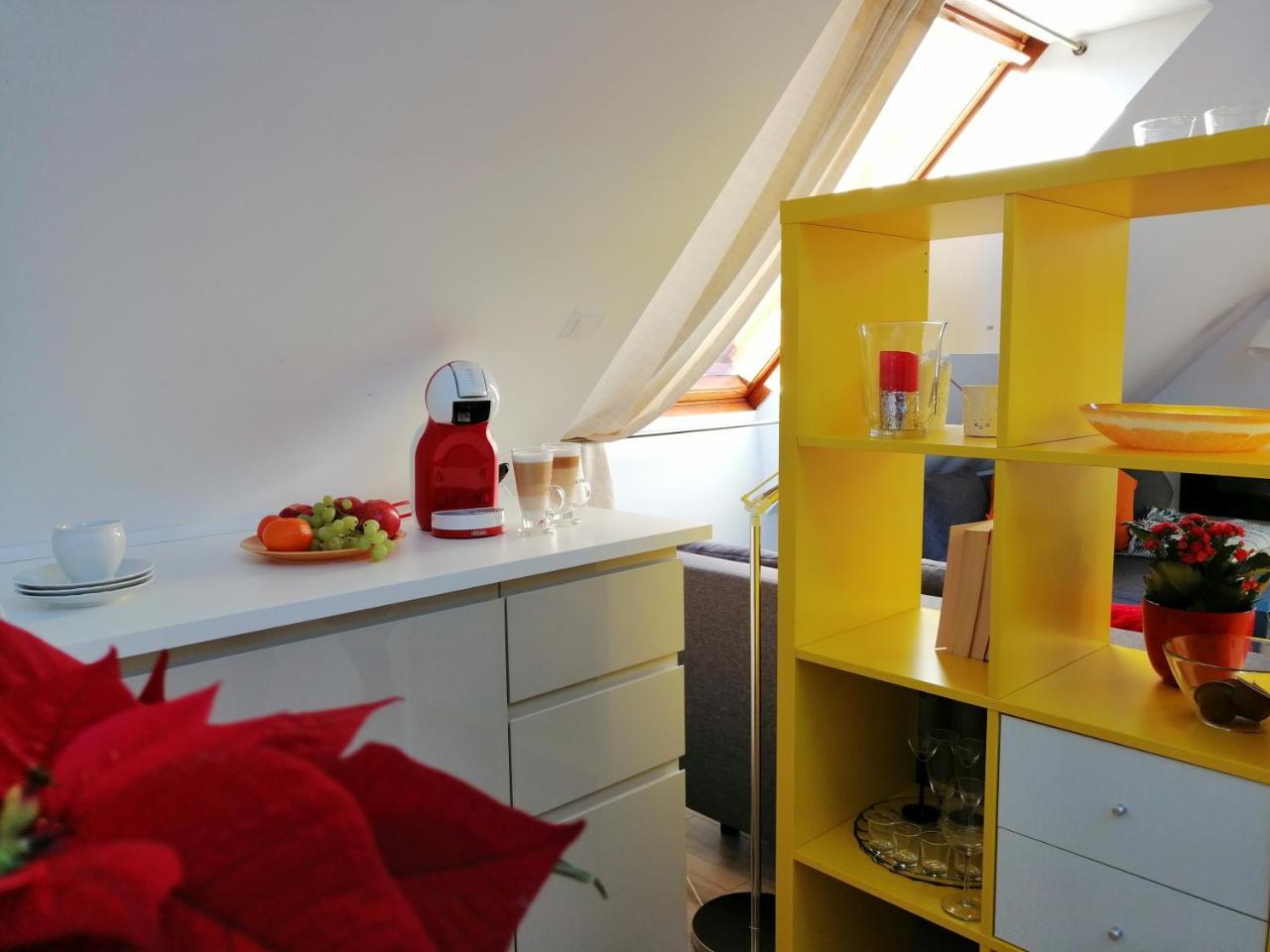 Apartamentai Niden - Su Terasa Ir Vaizdu I Marias Nidos Centre Apartamento *