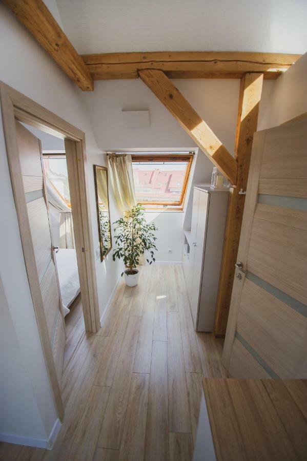 Apartamentai Niden - Su Terasa Ir Vaizdu I Marias Nidos Centre *
